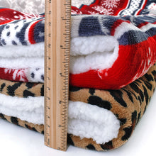 Load image into Gallery viewer, Winter Dog Bed Blanket
