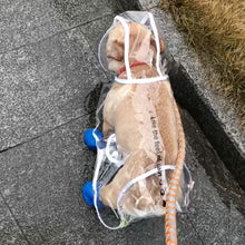 Load image into Gallery viewer, Small Dog Raincoat
