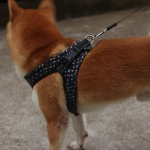 Load image into Gallery viewer, Pet Vest Harness

