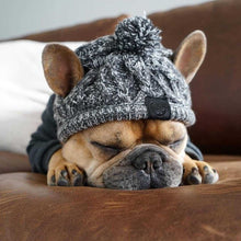 Load image into Gallery viewer, Warm Winter Pet Hat
